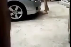 Thai kültéri